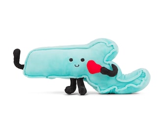 Peluche del estado de Massachusetts: regalos de graduación, decoración de dormitorios, Día de la Madre, regalos únicos para ella / Boston, Cape Cod, Nueva Inglaterra