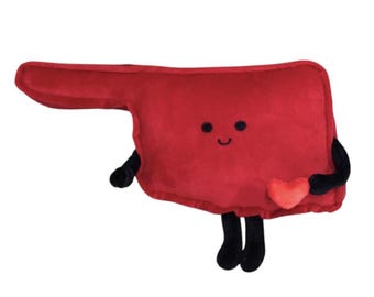 Oklahoma Stuffed State Plüsch - Abschlussgeschenke, Wohnheimdekor, Muttertag, einzigartige Geschenke für sie, Oklahoma City, Tulsa, Boomer Früher