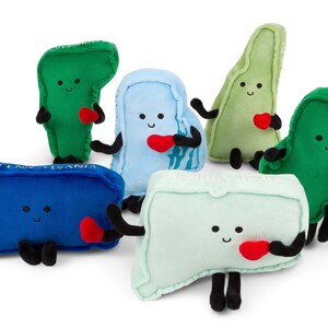 May include: Six plush toys shaped like different states in the US. Each toy has a smiling face and is holding a red heart. The states are Pennsylvania, New Hampshire, Vermont, Connecticut, Maine, and Rhode Island.