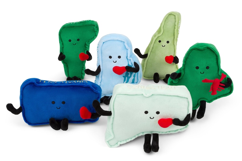 May include: Six plush toys shaped like different states in the US. Each toy has a smiling face and is holding a red heart. The states are Pennsylvania, New Hampshire, Vermont, Connecticut, Maine, and Rhode Island.