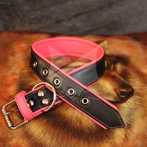 flexible collar - 2 colors
