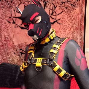 bulldog harness - heavy duty