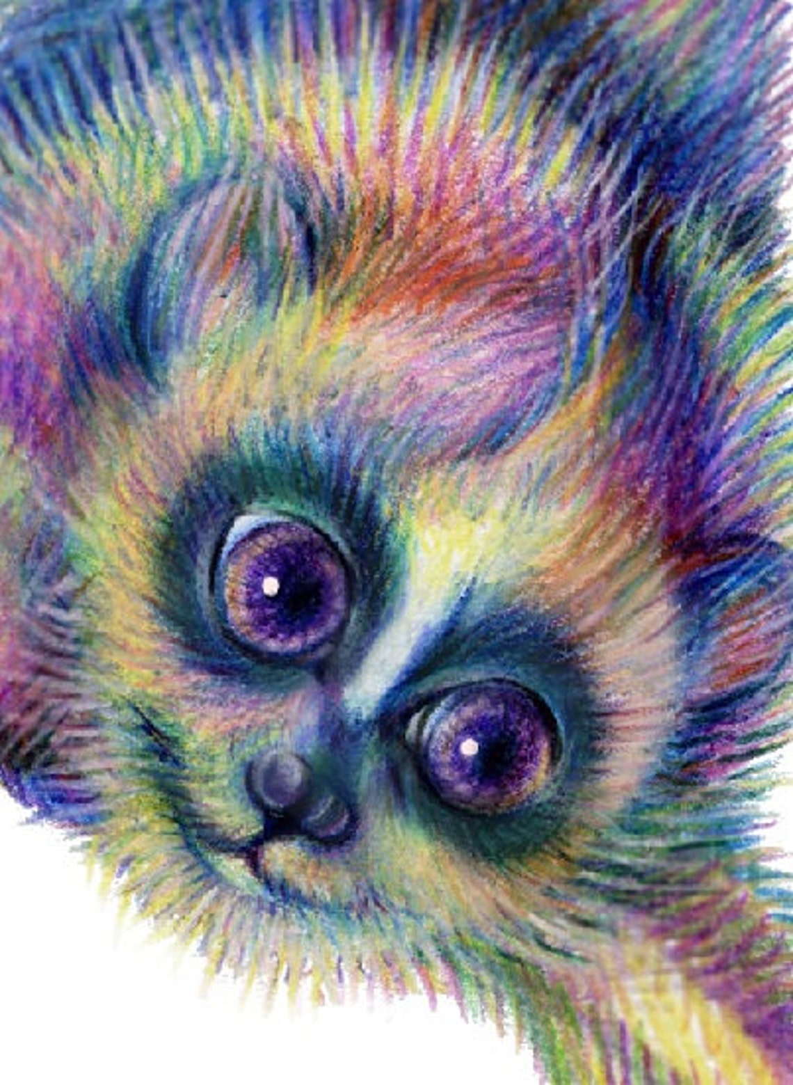 Rainbow colorful animals and birds clipart Etsy