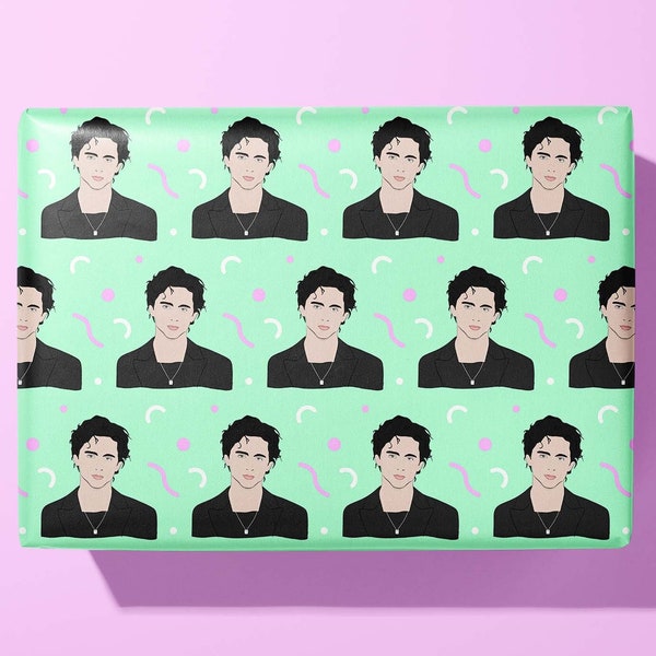 Timothée Chalamet wrapping paper | Gift Wrap - Hand Illustrated
