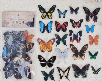 40 "Specimen" Butterfly Stickers