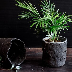 Dark Mood Photo. On a dark wooden table, two utensil holders are facing each other. One contains a plant. The other is lying on the table and shows the upper side. The utensil holders are made of matte black clay with a lot of texture.