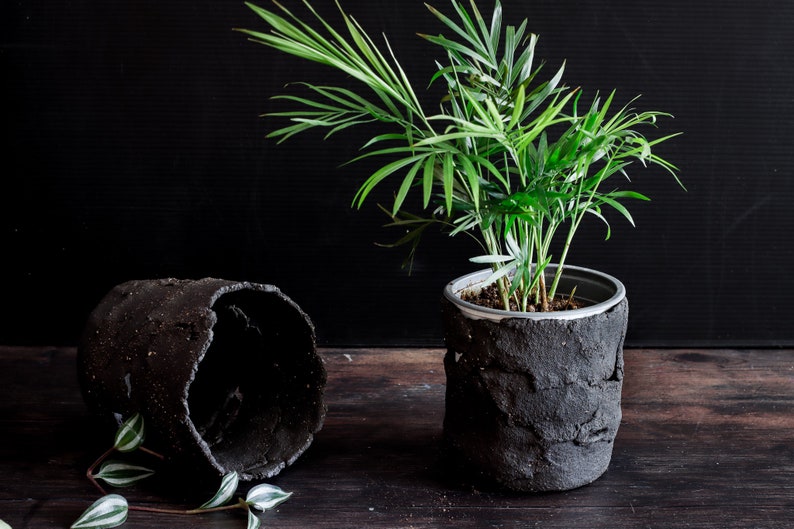 Dark Mood Photo. On a dark wooden table, two utensil holders are facing each other. One contains a plant. The other is lying on the table and shows the upper side. The utensil holders are made of matte black clay with a lot of texture.