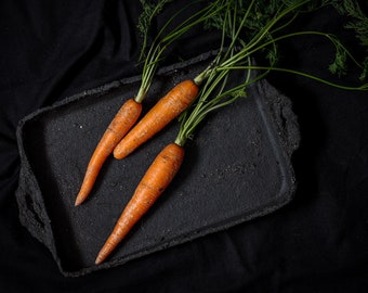 Plat de cuisson en grès, Plat de cuisson mat avec poignées, Plat de cuisson en céramique rustique pour ferme, Plat de cuisson en céramique noire