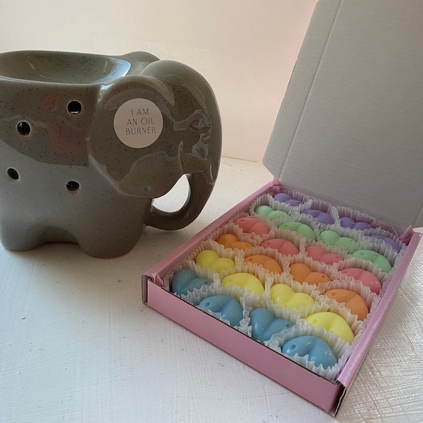 Beautiful Wax Burner with Perfume  Inspired Rose shaped Wax Melts Gift set - 20 highly scented wax melts with Wax burner & tea lights.