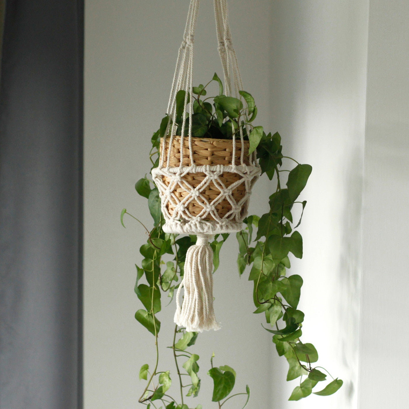 Suspension Macramé Pour Plantes