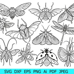 Insect Svg,Ladybug Svg,Dragonfly Svg,Scarab beetle Png,Insect Svg Bundle, Insect Silhouette Svg,Praying Mantis Svg, Clipart,Butterfly Vector