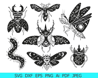 Insect Svg, Stag beetle Svg, Insect Svg Bundle, Floral Insect Silhouette Svg,Praying Mantis Svg, Clipart,Butterfly Vector,Centipede Cut File