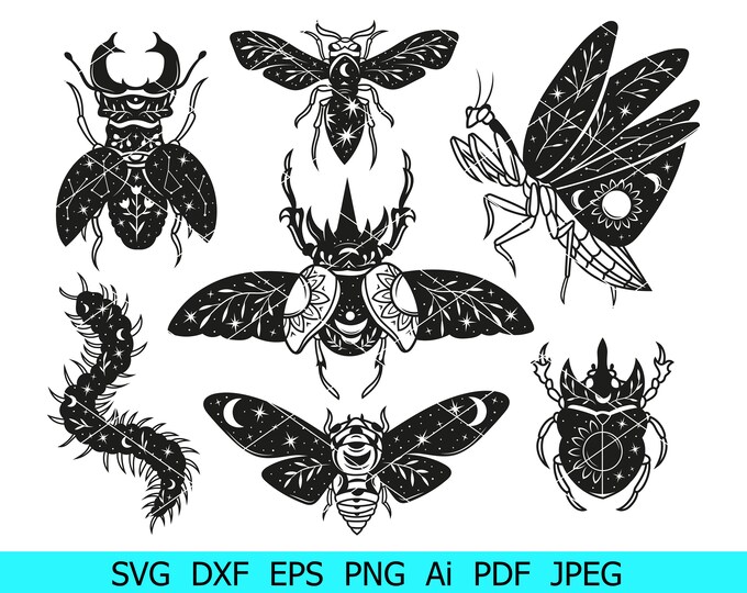 Insects Racing Svg Insect Svg, Stag Beetle Svg, Insect Svg Bundle, Floral Insect ...