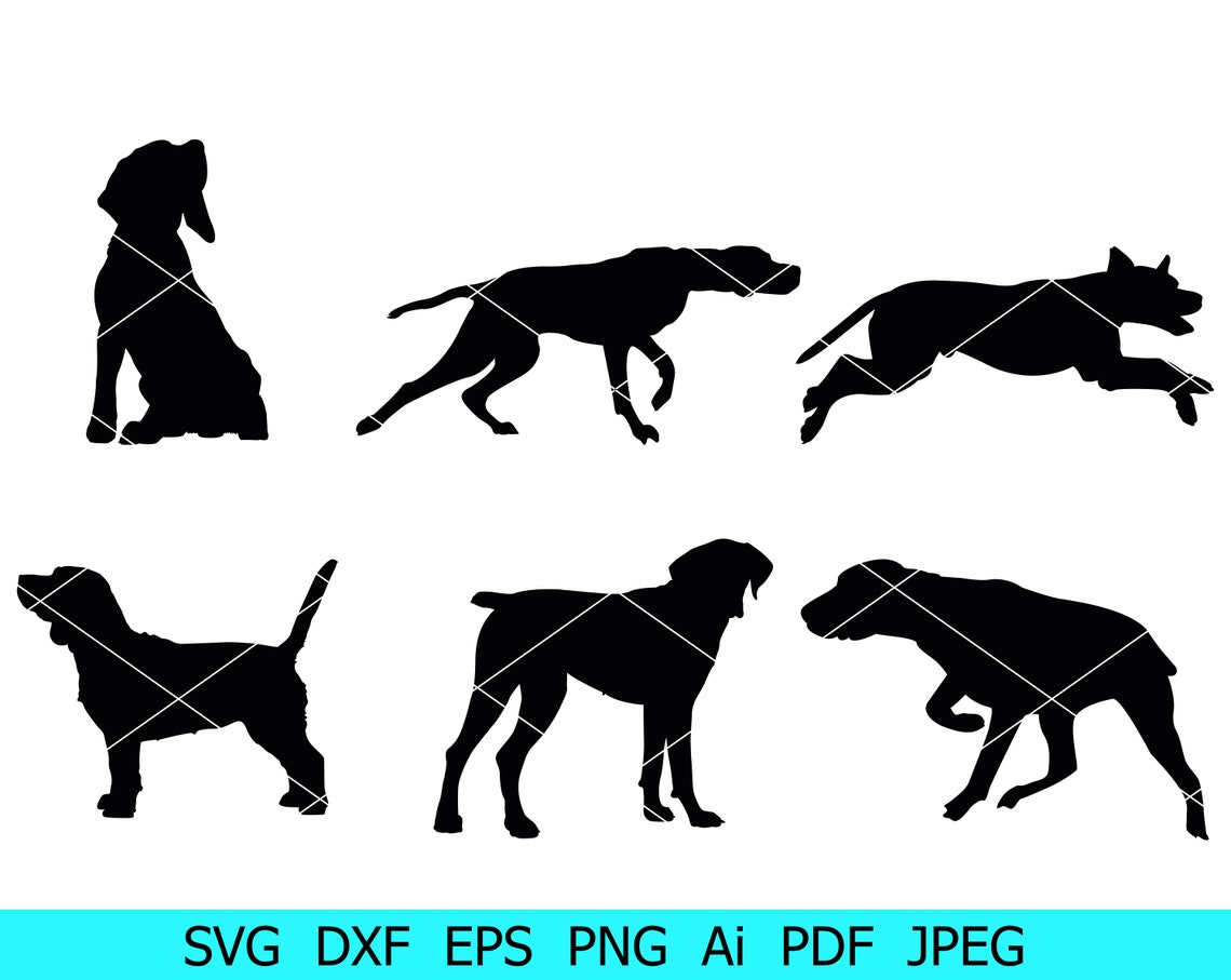 Coonhound svg Coonhound silhouette File di taglio cane | Etsy