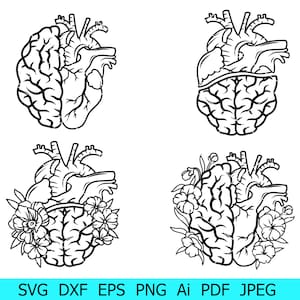 Cerebro svg, corazón svg, cerebro con paquete de corazón, corazón y cerebro png, silueta de fusión de cerebro y corazón, corazón floral y cerebro, impresión svg png dxf