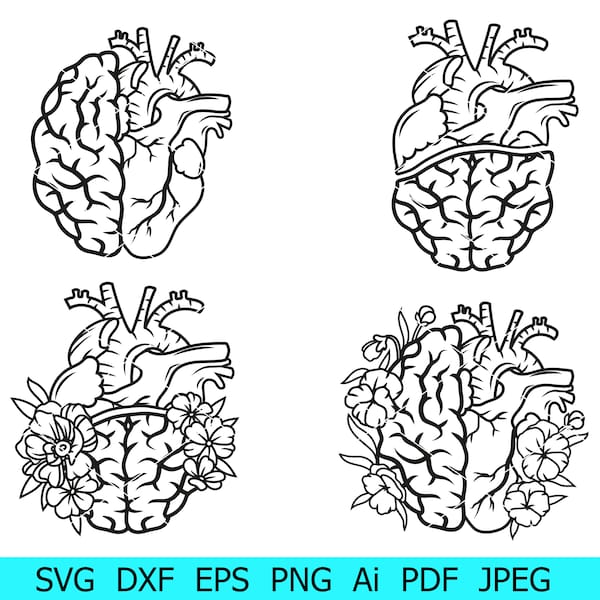 Cerveau SVG, Coeur SVG, Cerveau avec coeur Bundle, Coeur et cerveau Png, Cerveau & Coeur Fusion Silhouette, Coeur floral et cerveau, Impression Svg Png Dxf