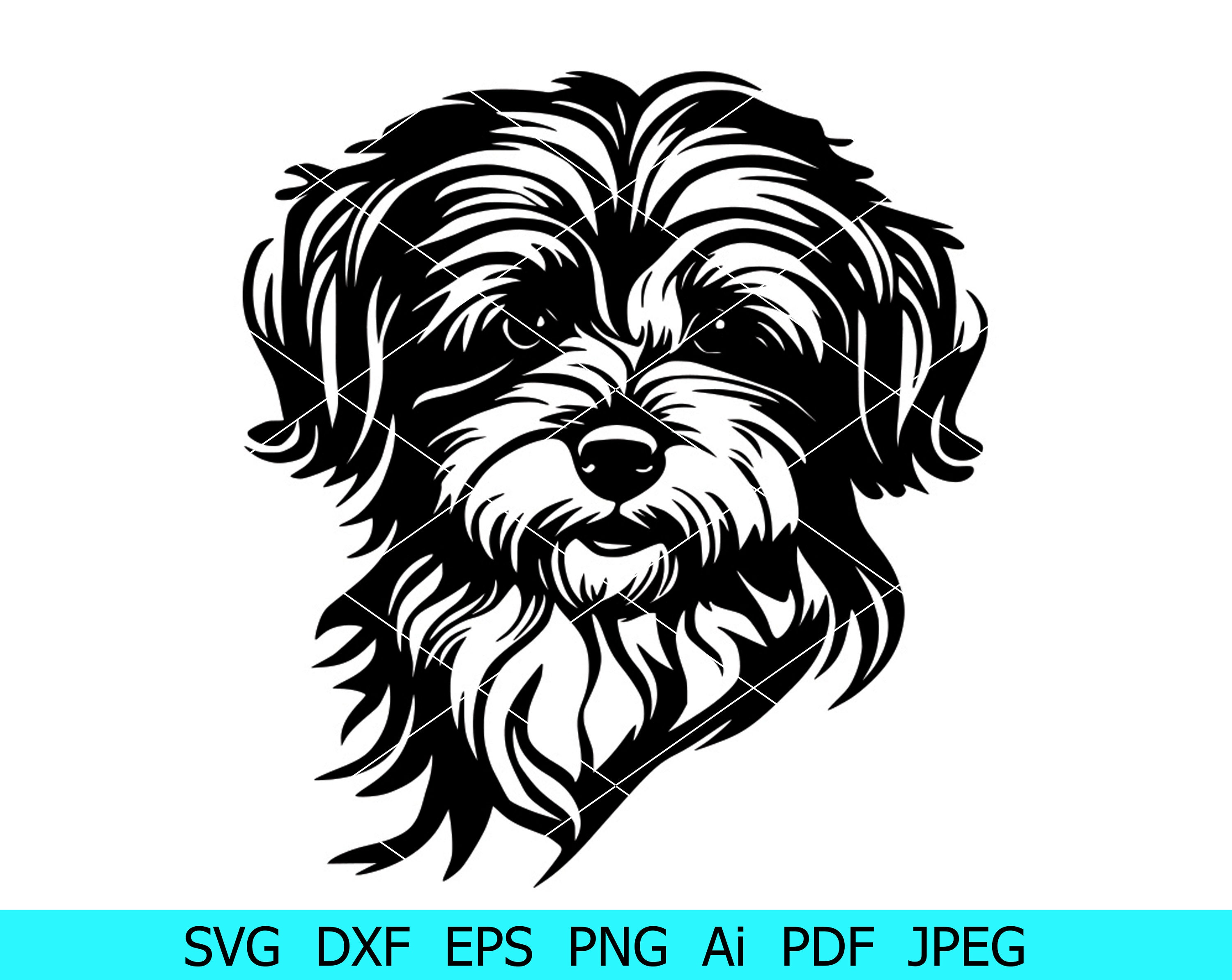 Malteser Svg Hund Svg Tier Svg Clipart Cricut Plotterdatei Hund 