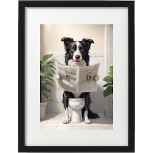 May include: Framed print of a Border Collie, black and white, on a toilet, reading a newspaper. The dog is in a bathroom setting with a plant and white tiles. The newspaper has the text "THE COOL LADS" and "THE NEWS COME".