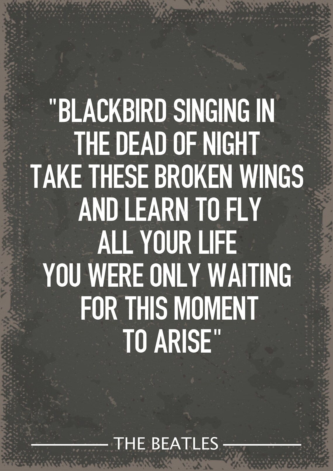 The Beatles Blackbird lyrics art print | Etsy