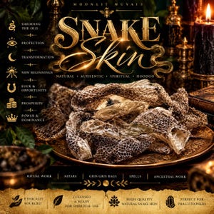 May include: A pile of natural, textured snake skin rests on a round, ornate gold-toned metal plate. The image features text including "SNAKE SKIN," "NATURAL, AUTHENTIC, SPIRITUAL, HOODOO," and a list of symbolic meanings like "SHEDDING THE OLD" and "PROTECTION."