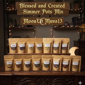 Intention-Based Ritual Simmer Pots | Handcrafted Botanical Blends | Home Blessing, Love, Abundance & Protection | Spiritual Apothecary