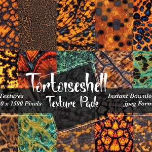 Sköldpaddsskaltexturpaket | Bildfiler som inte upprepas