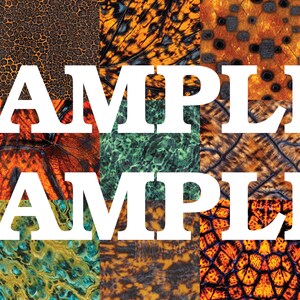 May include: A collage of colourful, textured patterns, including animal prints, scales, and abstract designs. The word "SAMPLE" is printed in white letters across the image.
