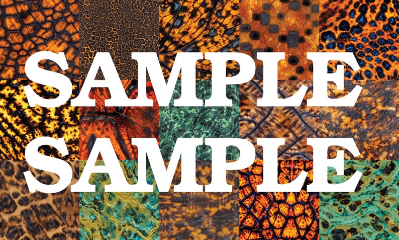 May include: A collage of colourful, textured patterns, including animal prints, scales, and abstract designs. The word "SAMPLE" is printed in white letters across the image.