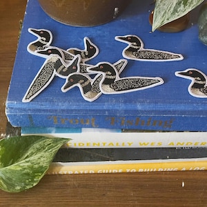 Puede incluir: Una pila de libros con una cubierta azul que presenta varios parches bordados de p&aacute;jaros loon. El libro superior tiene el t&iacute;tulo "Pesca de truchas" impreso en el lomo.