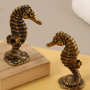 Op de afbeelding: Twee bronzen zeepaardjes beeldjes. Eén zeepaardje is gemonteerd op een klein, lichtgekleurd houten blok. Het andere zeepaardje staat alleen. De zeepaardjes hebben gedetailleerde texturen en staan op een gele en grijze ondergrond.