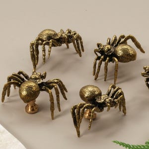 Op de afbeelding: Vijf antieke messing spinnenkastknoppen. Elke knop heeft een gedetailleerd spinnendesign met acht poten en een getextureerd lichaam. De knoppen zijn gemonteerd op een messing basis.