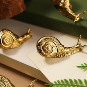 Solid brass snail drawer knob, unique cabinet knob, custom engraved snail cupboard handle knob, brass closet dresser knob