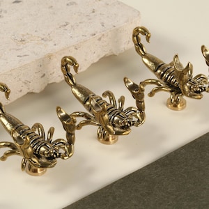 Peut inclure: Gros plan sur plusieurs boutons de meuble en forme de scorpion en laiton. Les boutons sont détaillés avec des pinces, des corps segmentés et des queues incurvées. Ils sont disposés sur une surface blanche avec un élément de pierre texturé.
