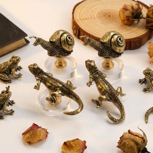 Puede incluir: Una colección de objetos decorativos de color bronce, que incluye figuras de caracoles y lagartos, y esculturas de ranas. Las figuras de caracoles y lagartos están montadas sobre bases transparentes. También hay pétalos de rosa secos y una rodaja de madera.