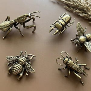 Tiradores de armario con forma de insecto de latón antiguo, tiradores de cajón con forma de insecto estilo steampunk vintage, pomos personalizados grabados a mano con forma de abeja y escarabajo para cómoda infantil.