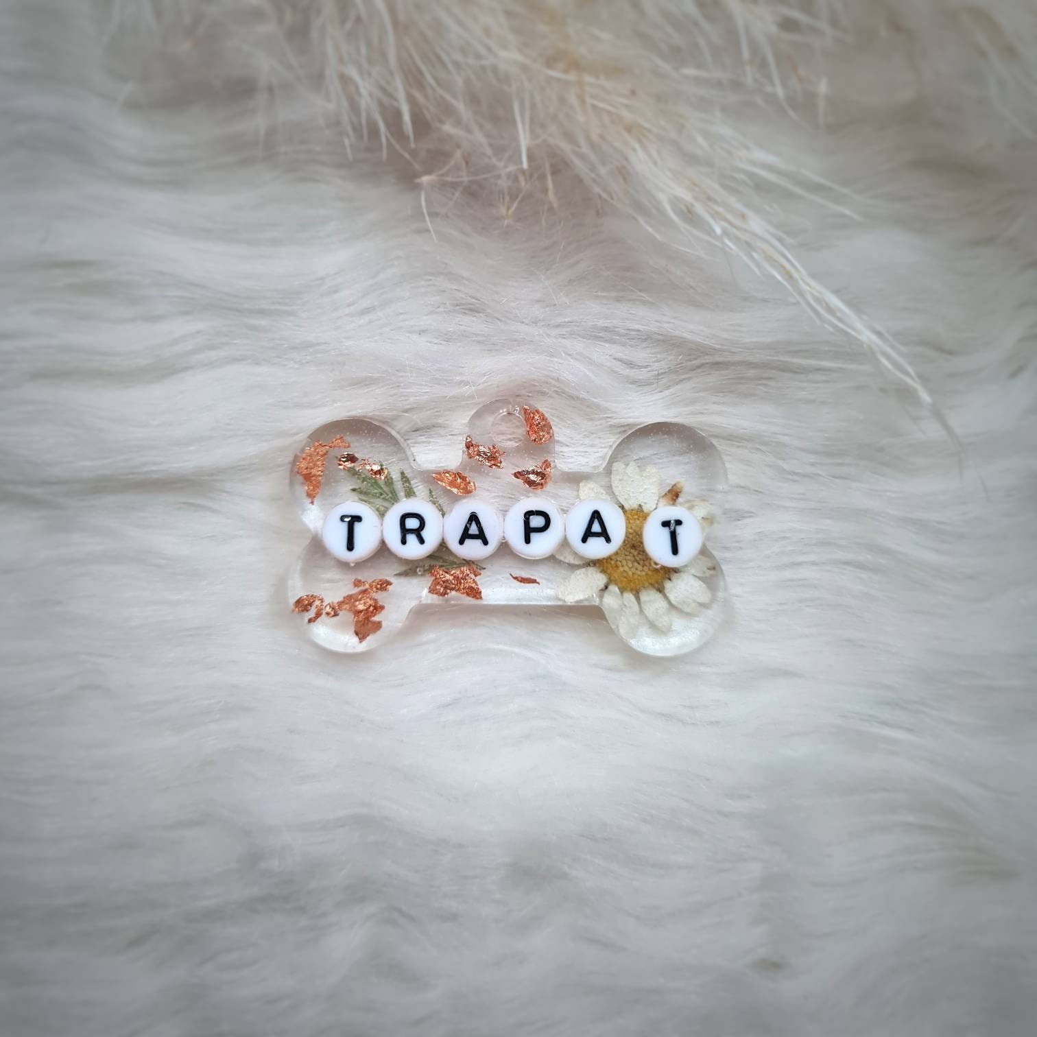 Médaille d'identification Animaux Personnalisable