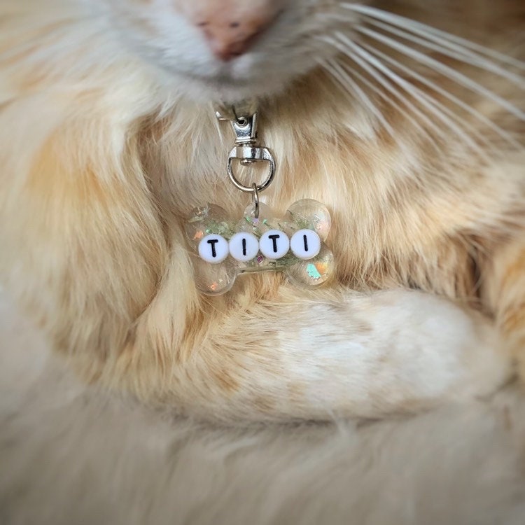 Médaillon Collier Personnalisable