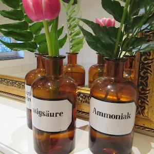 alte Apothekerflasche mit Lärchenzweig , Vintage, Naturdeko, Tischdeko, besondere Deko