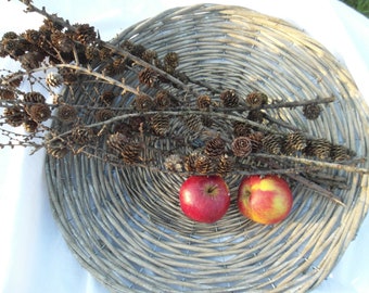 May include: A wicker basket filled with pine cones and two red apples. The basket is woven with natural materials and has a light brown color.