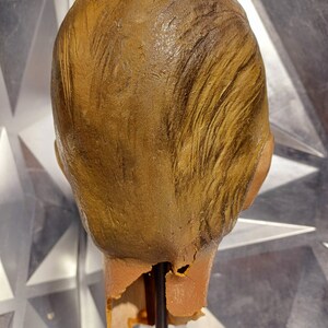 VINTAGE DISPLAY MANNEQUIN Mannequin Head Hutkopf Schaufensterpupp Bild 5