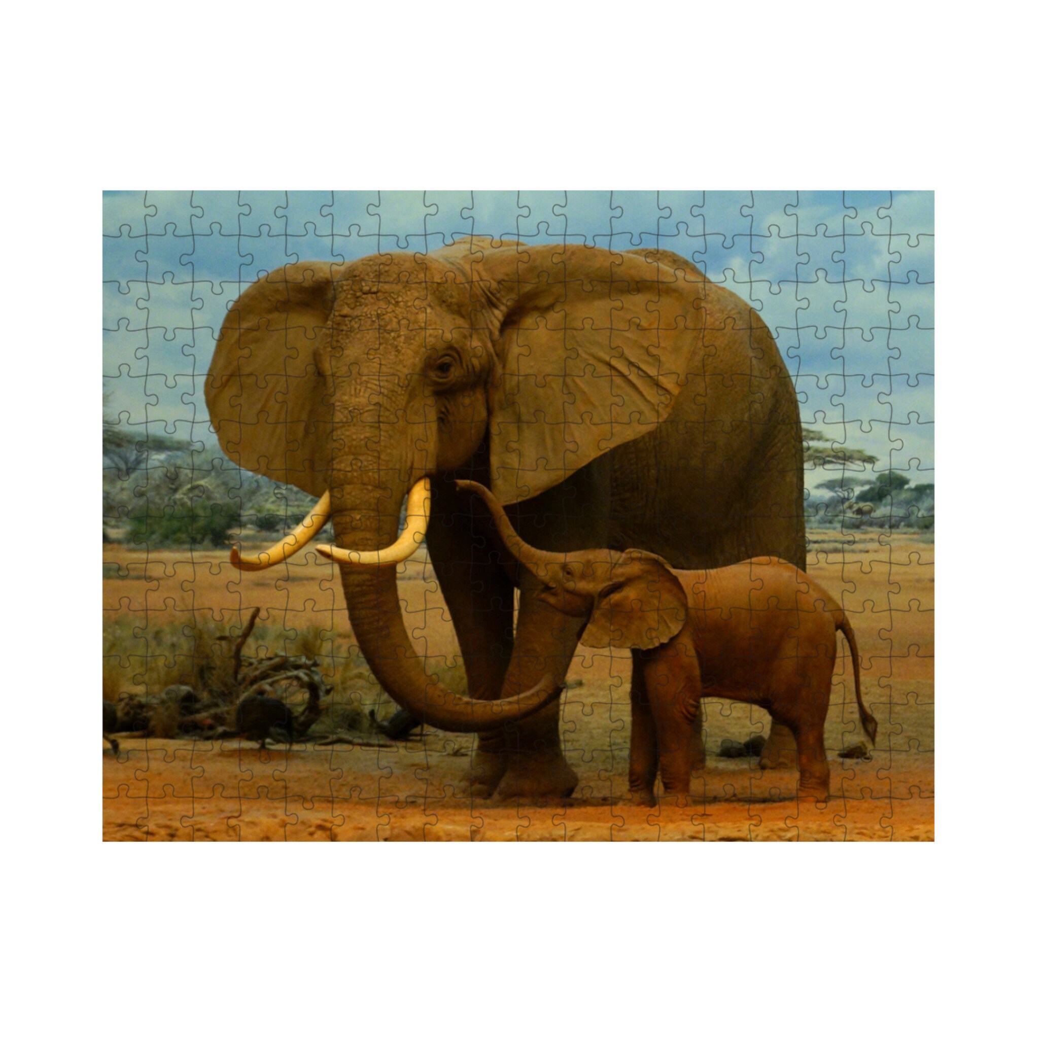 Elephant puzzle 252 piece jigsaw puzzle 10x14 inch Animal Etsy