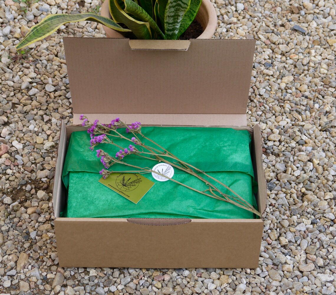 SOURDOUGH BREAD DIY Kit Complete Sourdough Kit With Recipes Etsy