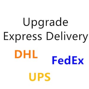 Upgrade Express Versand
