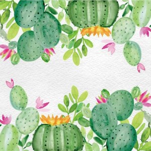 Pianta di cactus Foto Fotografia Sfondo Festa di compleanno Baby Bride Shower Sfondo verde Banner Sfondo in vinile Decorazione da parete Puntelli da studio