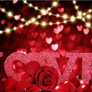 Romantic Valentines Day Photography Backdrop Red Rose Flower Love Hearts Photo Background Dream Wedding Bridal Party Backdrop Banner