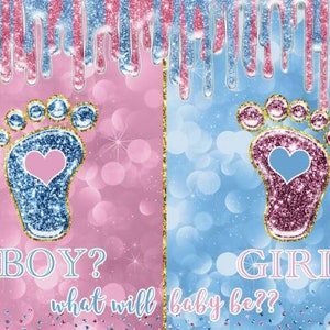 Baby Shower Decoration,Décoration Genre Révéler Bannière,Fille ou Garcon Decoration,Fond Photographie Douche Bébé,Gender Reveal Party Decoration,Rose Bleu Toile Fond Baby Shower,pour Baby Shower