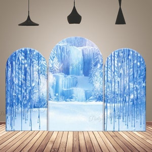 Invierno Frozen Princesa Niñas Fiesta de Cumpleaños Arco Telón de Fondo Copo de Nieve Nieve Hielo Chiara Pared Fotografía Fondos Decoración Doble Cara