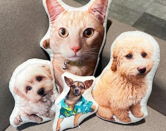 Può includere: Una collezione di quattro cuscini a forma di animali domestici. I cuscini presentano i volti di un gatto e di tre cani diversi. Il gatto è arancione con un collare verde. Un cane è piccolo e bianco, un altro è marrone e indossa una camicia blu, e l'ultimo è un golden doodle.