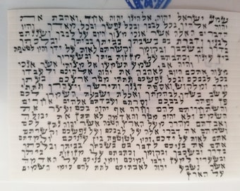 Kosher scroll
