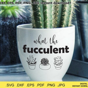 What the Fucculent SVG | Succulent SVG | Funny Gardening | Cutting Files | Silhouette, Cricut